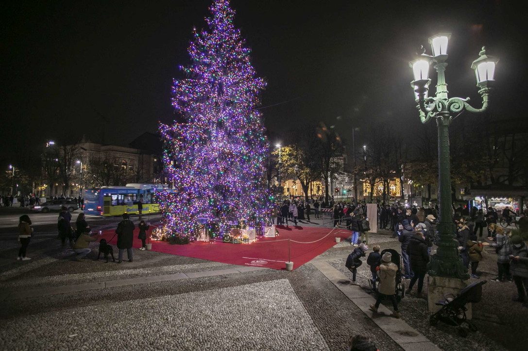 Natale, acceso in centro a Bergamo l'albero della speranza post-Covid