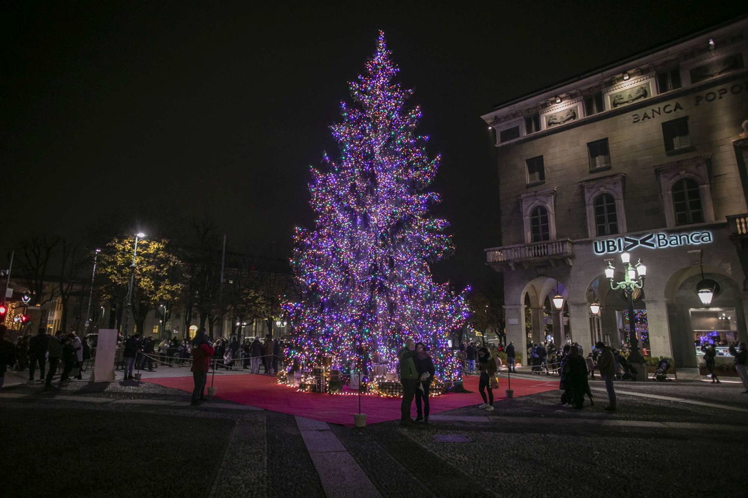 Natale, acceso in centro a Bergamo l'albero della speranza post-Covid