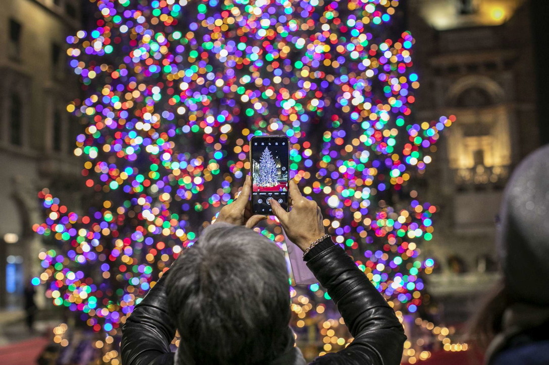 Natale, acceso in centro a Bergamo l'albero della speranza post-Covid