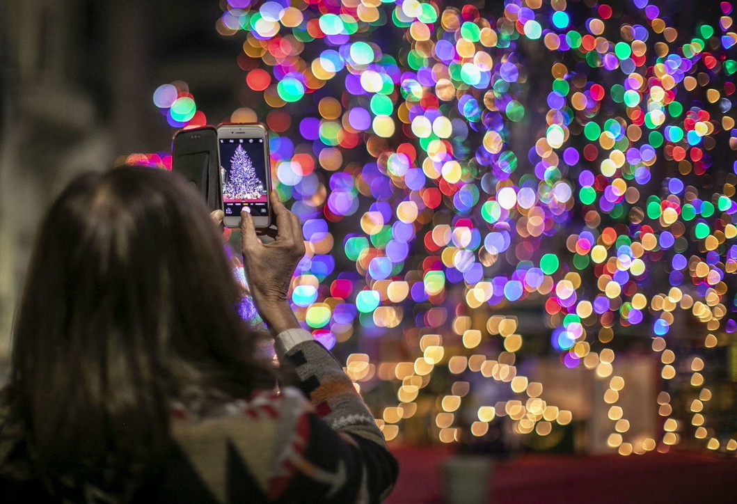Natale, acceso in centro a Bergamo l'albero della speranza post-Covid
