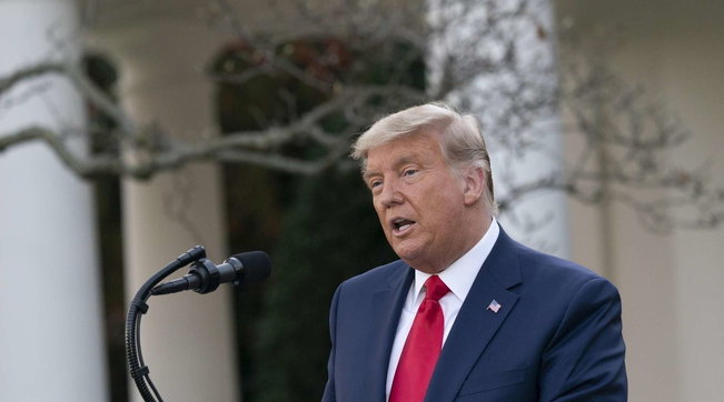 donald trump capelli grigi