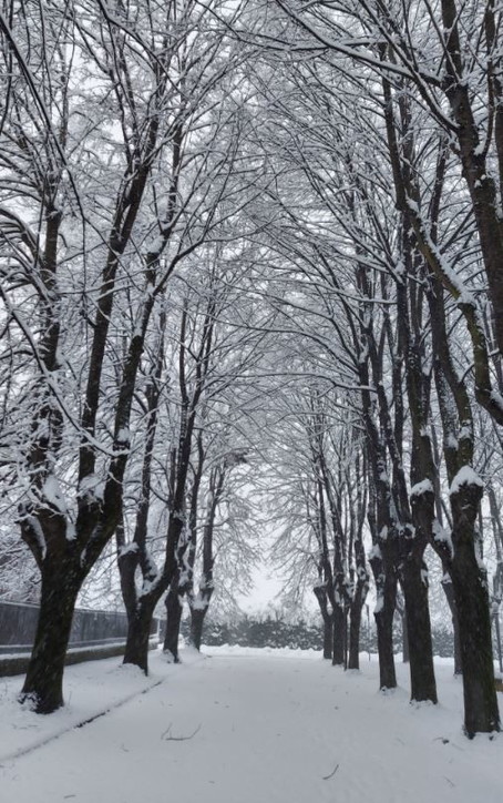 L'Italia sotto la neve, le foto inviate dai lettori di Tgcom24
