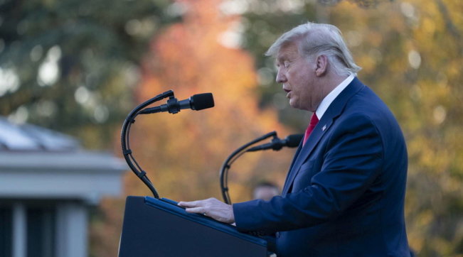 donald trump capelli grigi