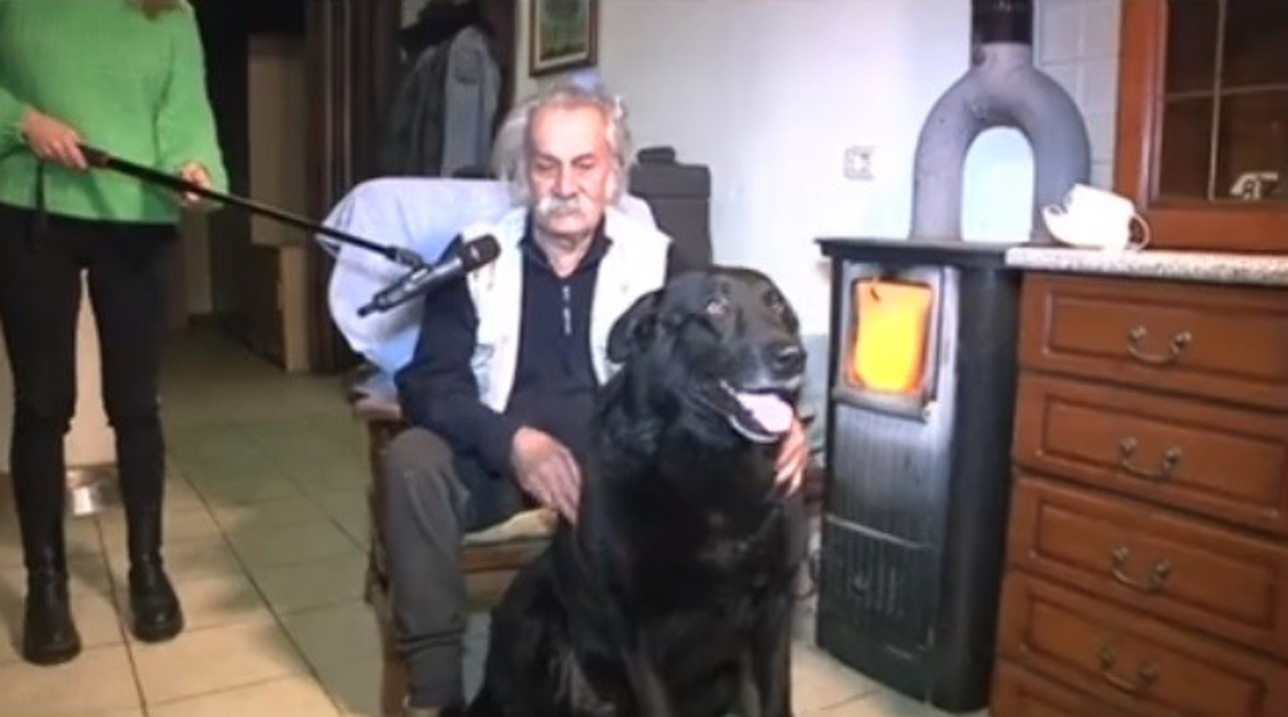 Il Mio Cane Si Isola In Casa
