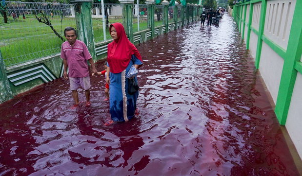 Jenggot indonesia villaggio rosso inondazione fabbriche batik