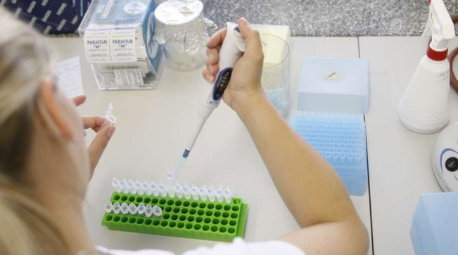 e.coli scienziati laboratori batterio