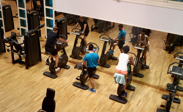 palestra