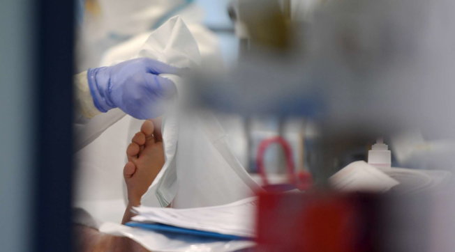 coronavirus terapia intensiva italia generica