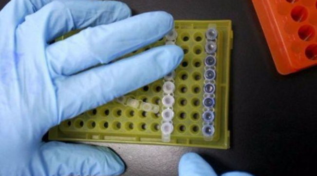 ricerca, medicina, analisi, laboratorio