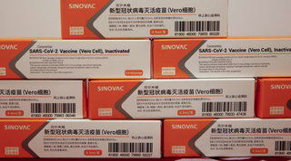 Via libera dell'Oms al vaccino cinese Sinovac | Gb, zero morti in 24 ore