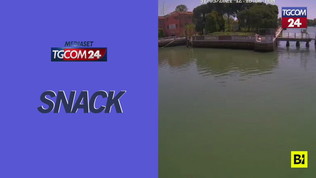 Il capriolo attraversa a nuoto la laguna e si ritrova a Venezia