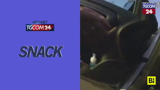 Rubano l'auto dei genitori per andare al mare… le "ladre" hanno 9 e 4 anni