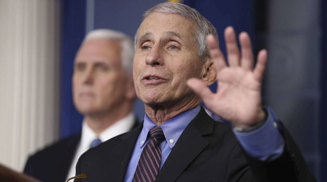 fauci trump