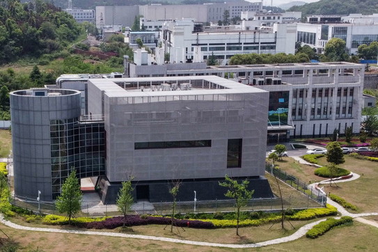 laboratorio wuhan p4