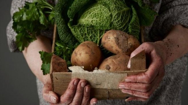 biologico, cibo, ortaggi, contadino