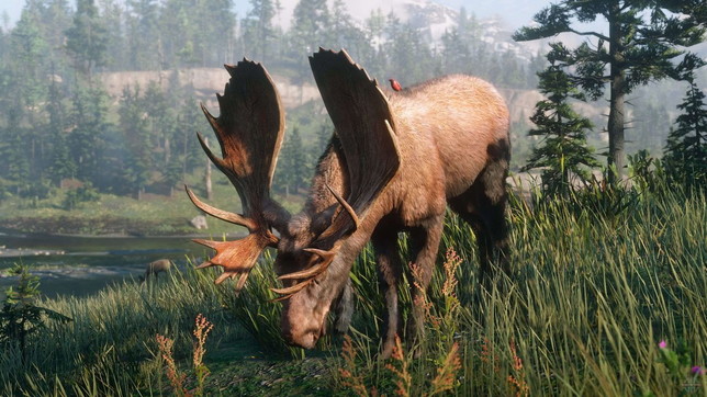 red dead redemption 2, rockstar games