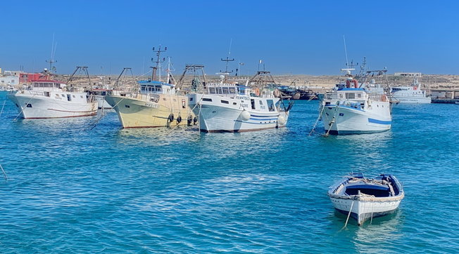 Donnavventura, Lampedusa, tartarughe