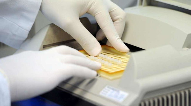 procreazione genetica legge 40 fecondazione vitro esame, generica