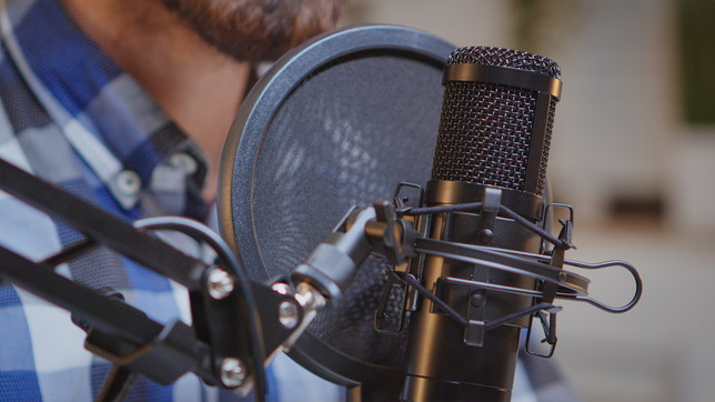 Videogiochi - Doppiaggio - Voiceover - Attori