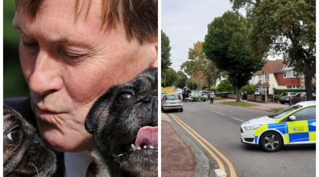 combo David Amess