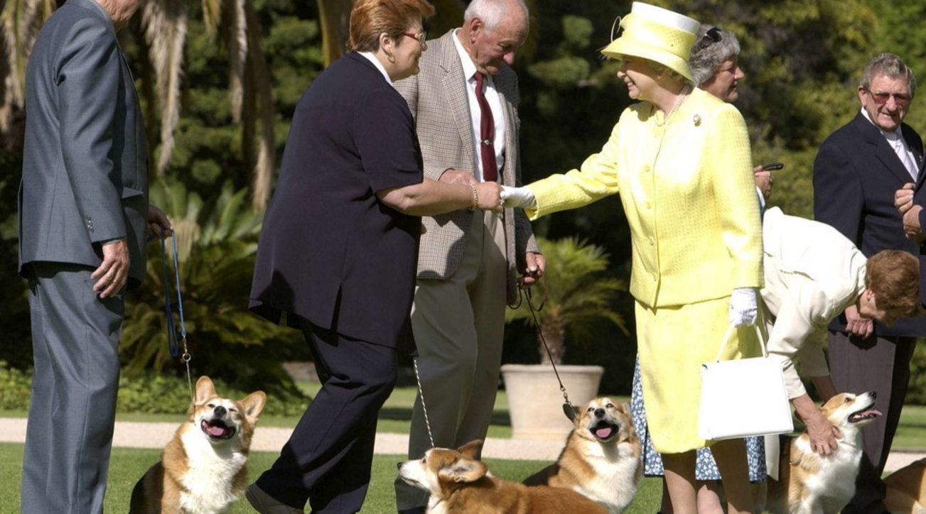 La Regina Deve Rinunciare Alle Amate Passeggiate Con I Suoi Cani Per 