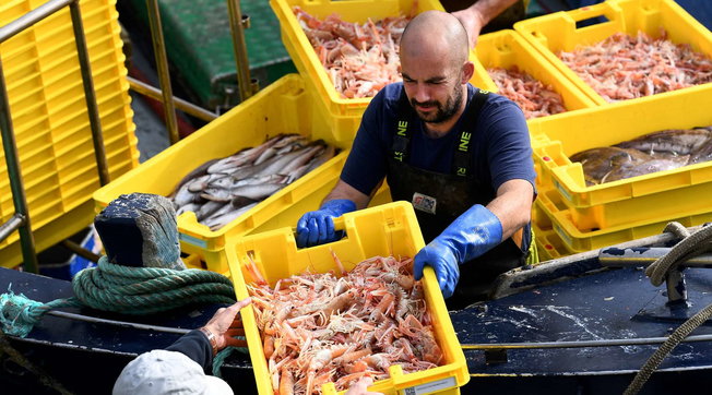 pescatori pescatore pesca francia francesi francese
