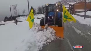 Freddo e gelo, i danni all'agricoltura