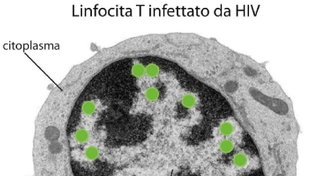 Zaia: "Puntare sui tamponi fai da te, altrimenti non usciamo più da questa situazione"