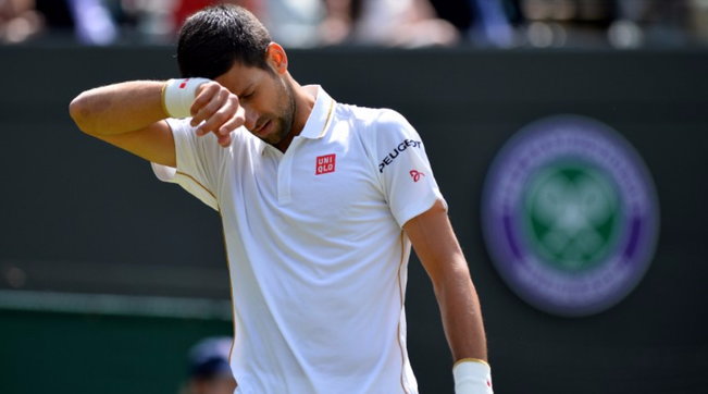 tennis, wimbledon, novak djokovic, sam querrey