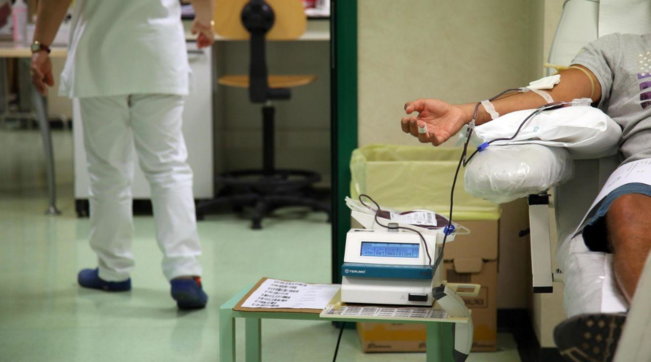 sangue donazione avis