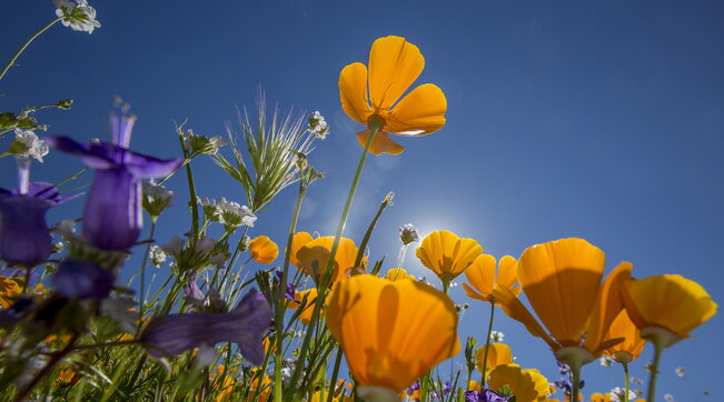 Equinozio primavera