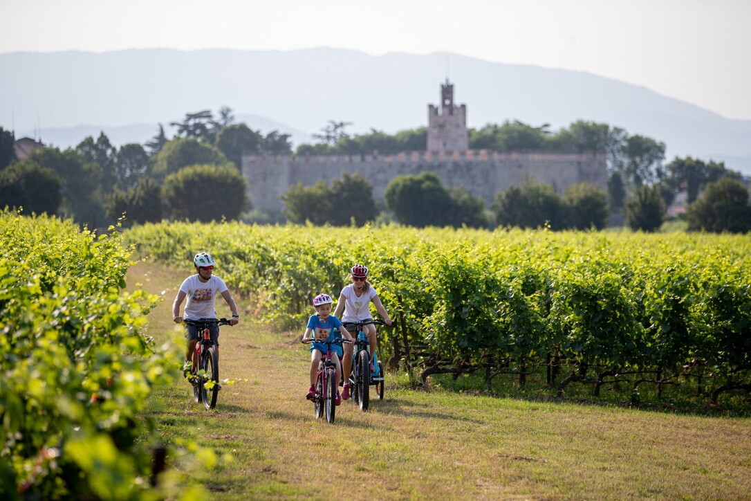 Dal lago di Garda alla Franciacorta, cicloturismo che passione!