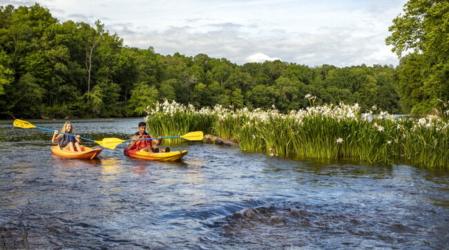 Avventure, foreste, birdwatching: come divertirsi in Alabama