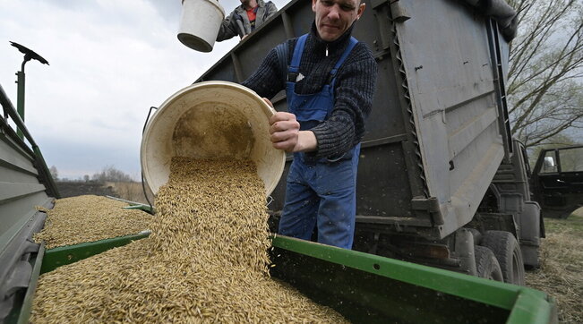 crisi in ucraina, guerra, agricoltura, semina, campagna, contadini, fao, grano
