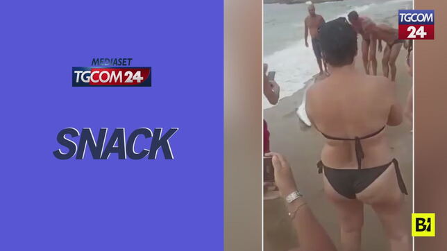Sardegna, squalo si arena sulla spiaggia