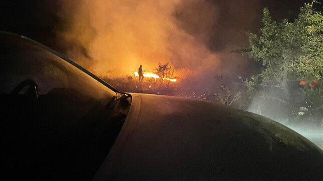 Incendi, in Puglia bruciano 250 ettari: distrutta pineta nel Barese