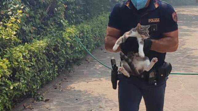 Incendi a Roma, polizia e vigili del fuoco salvano cani e gatti dalle fiamme