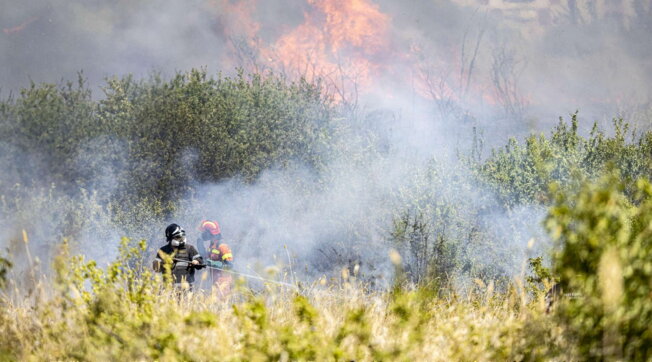 incendio roma rogo sterpaglie