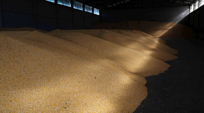 grano ucraina russia