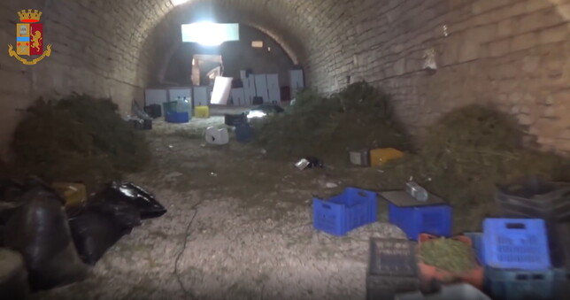 ruvo di puglia droga
