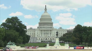 Usa Midterm, i repubblicani riconquistano la Camera | Joe Biden avrà un Congresso spaccato