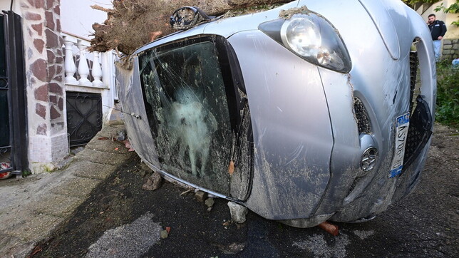 Ischia, cane rimane per tre giorni nell'auto del padrone ucciso dalla frana