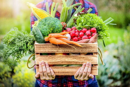 sali minerali, cibo, alimentazione, estate