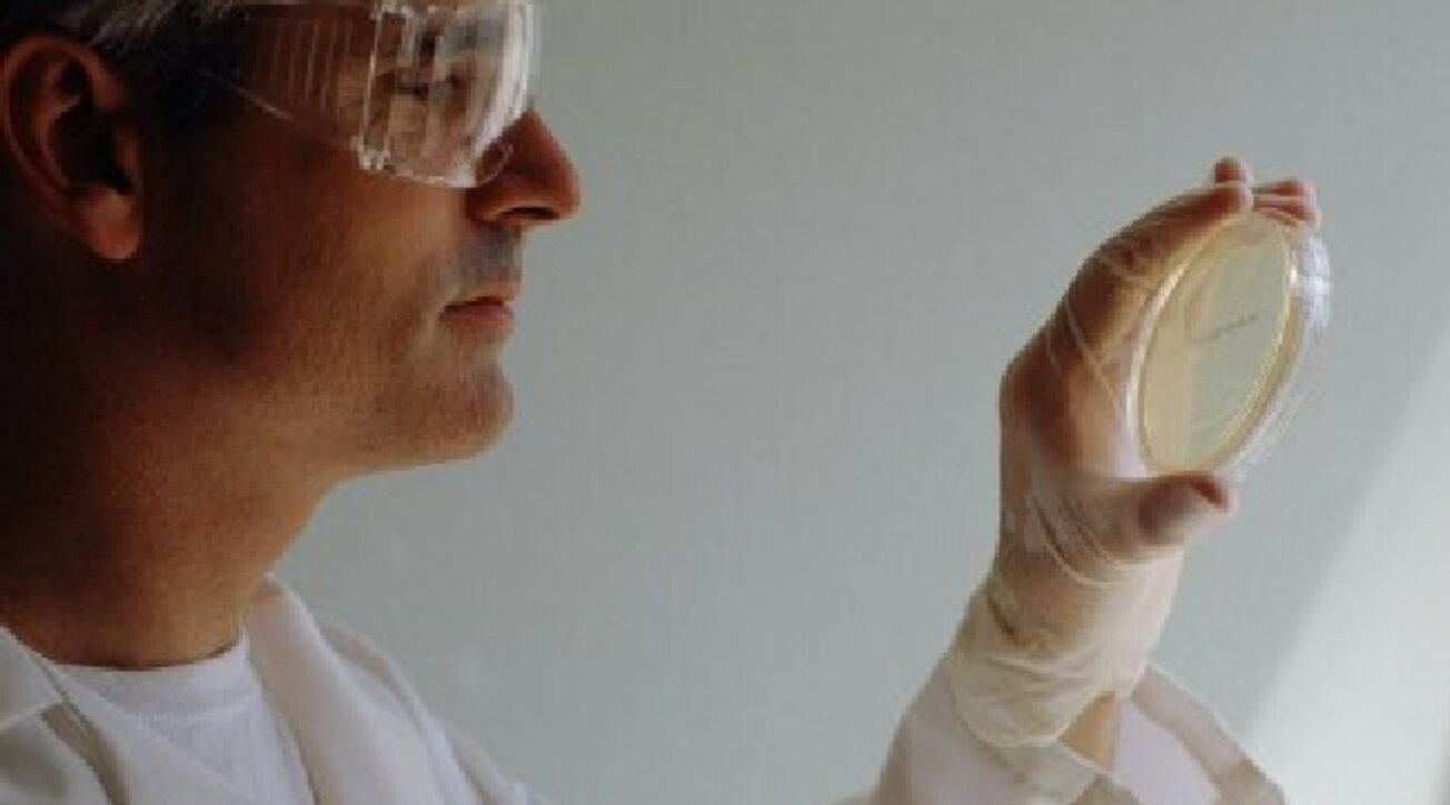 Salute, arriva la “colla cellulare”: i &hellip;