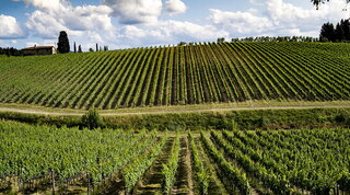 Ruffino: tra vigneti, storia, cultura e paesaggi incantati