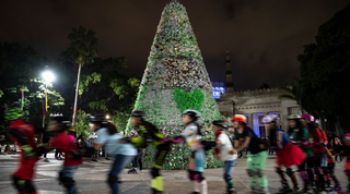 L’albero di Natale fatto con bottiglie di plastica riciclate | Foto