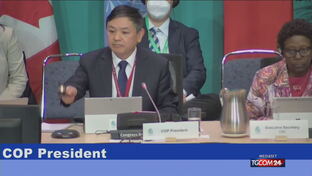 Cop 15: raggiunto accordo internazionale a Montreal