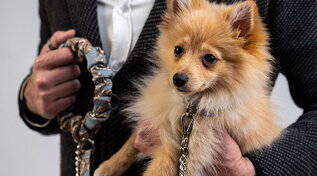 Pitti Uomo: per la prima volta, la moda e gli accessori per cani&nbsp;