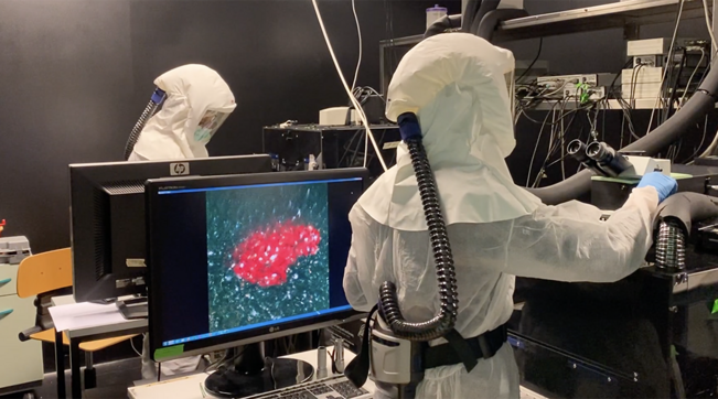 Lavori scientifici su Covid pubblicati dall'Ospedale San Raffaele