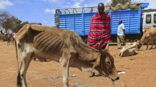 Clima, S&P Global Ratings: aumenti della temperatura più dannosi nei paesi poveri
